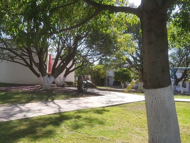 place photo 17
