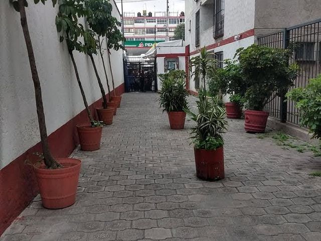 place photo 28