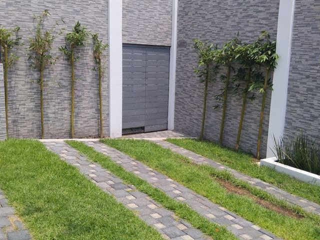 place photo 37