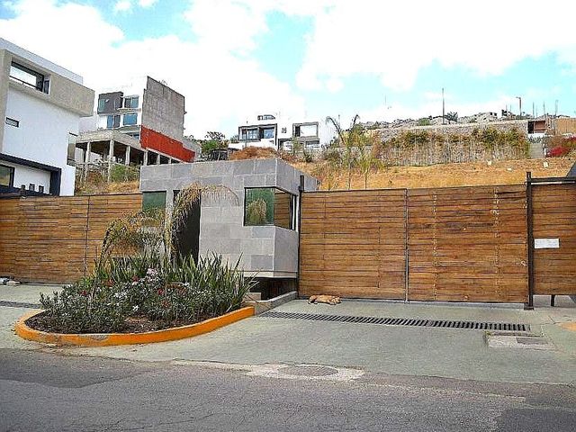 place photo 26