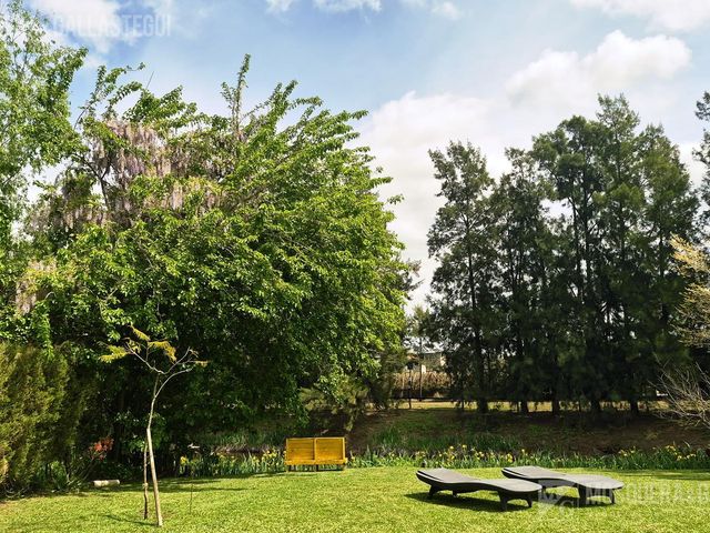 place photo 38
