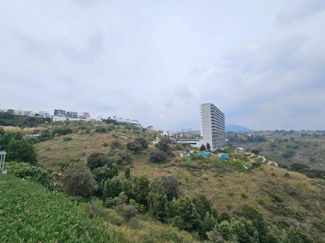 place photo 60