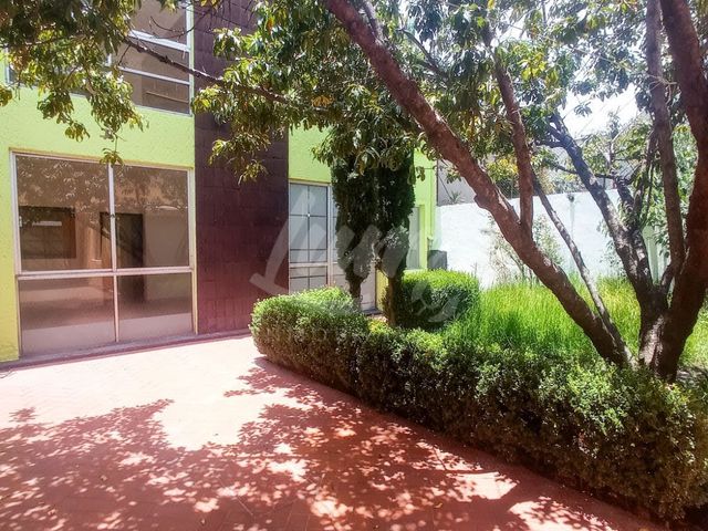 place photo 28