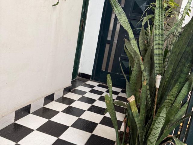 place photo 44