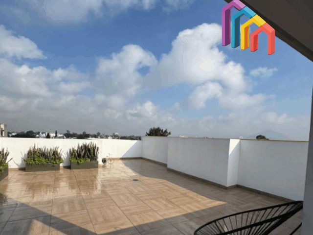 place photo 20