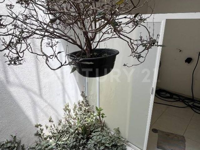 place photo 49