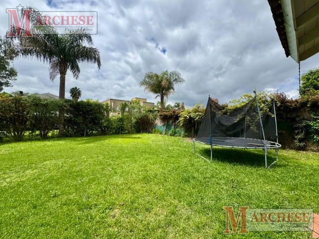 place photo 46