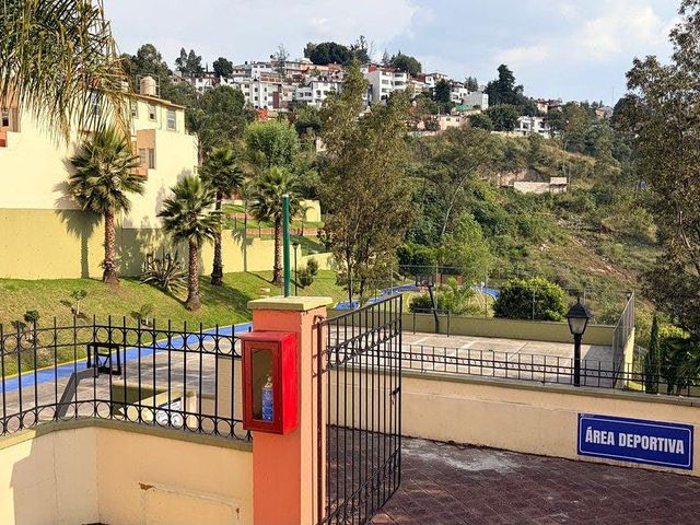 place photo 24