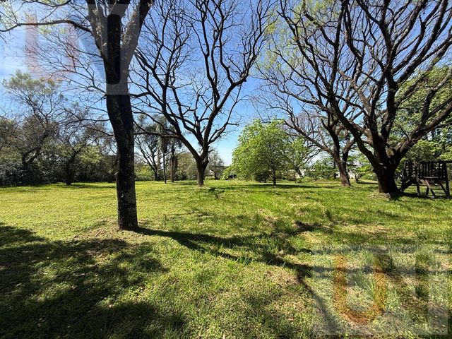 place photo 53
