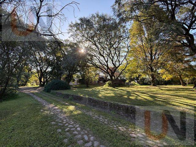 place photo 51