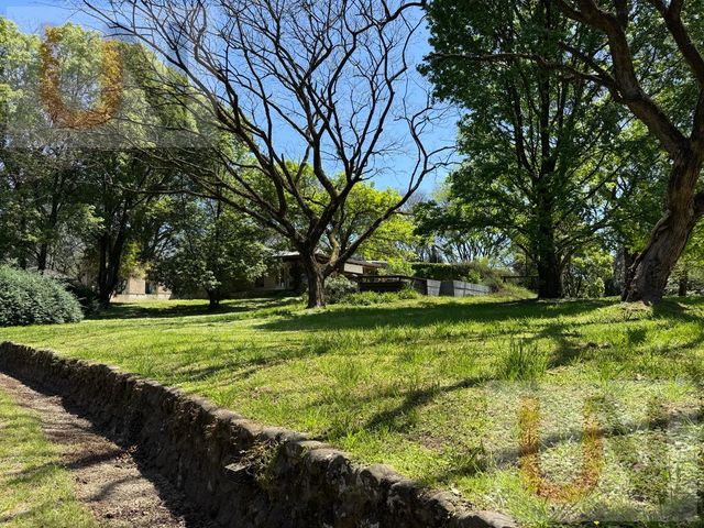 place photo 52