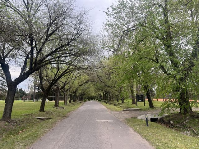 place photo 42