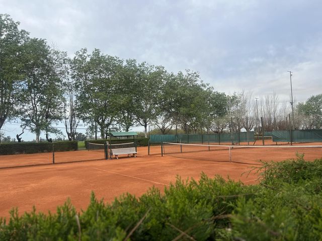 place photo 38