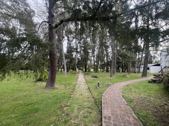 place photo 35