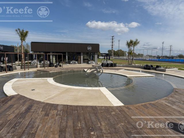 place photo 75