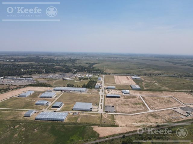 place photo 20