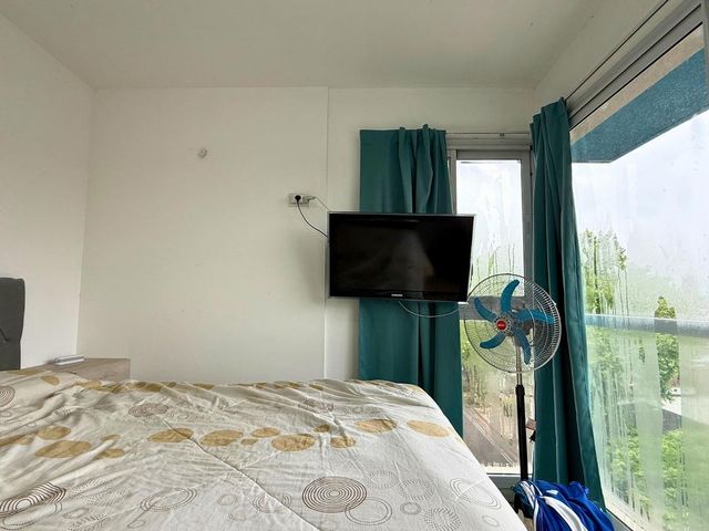 place photo 16
