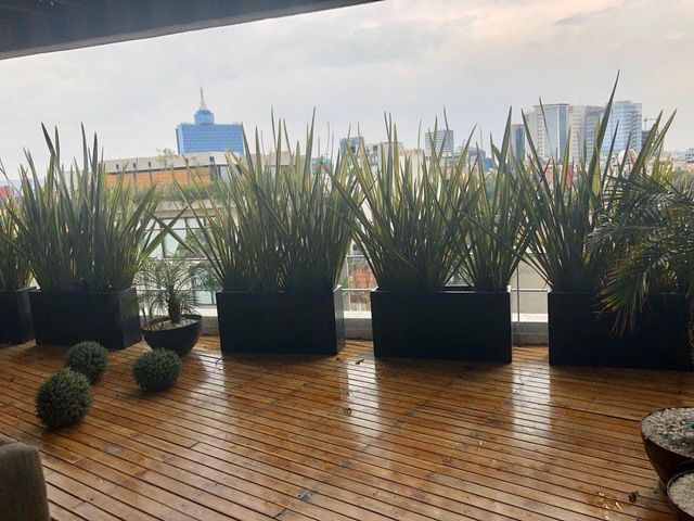 place photo 35