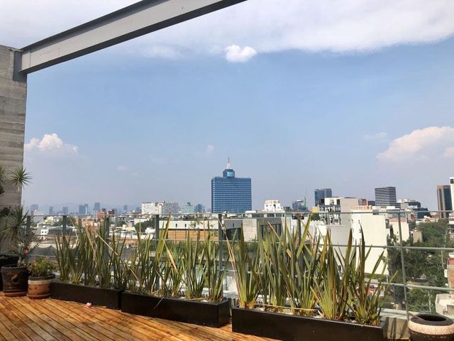 place photo 27