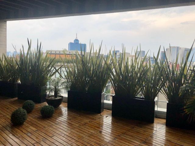 place photo 34