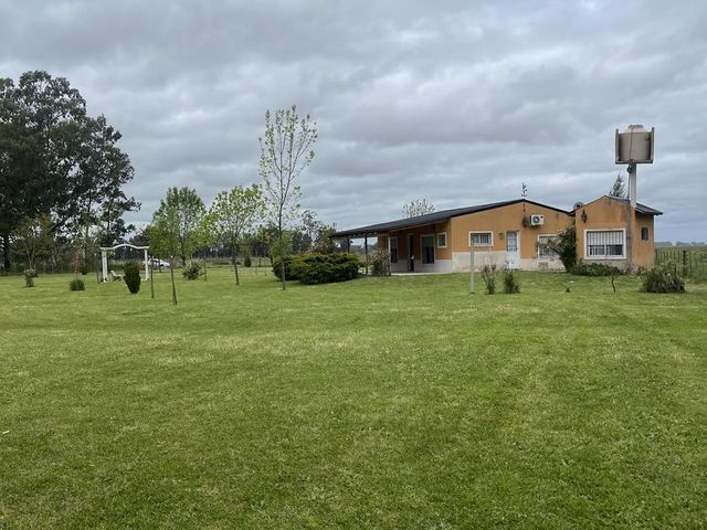 place photo 32