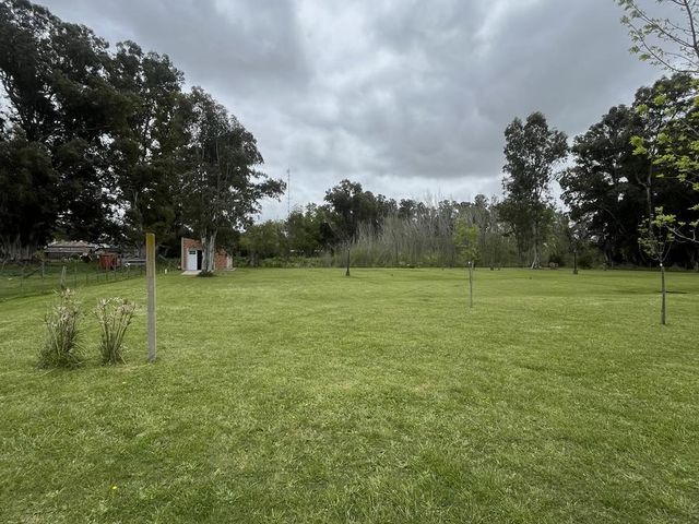 place photo 26