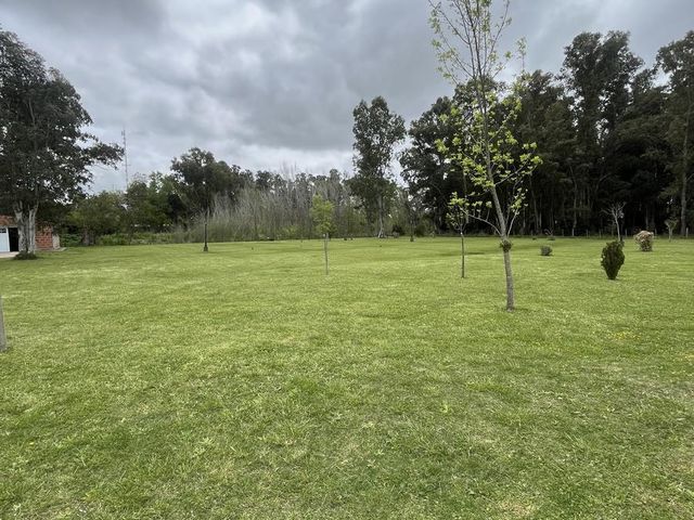 place photo 25