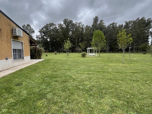 place photo 31
