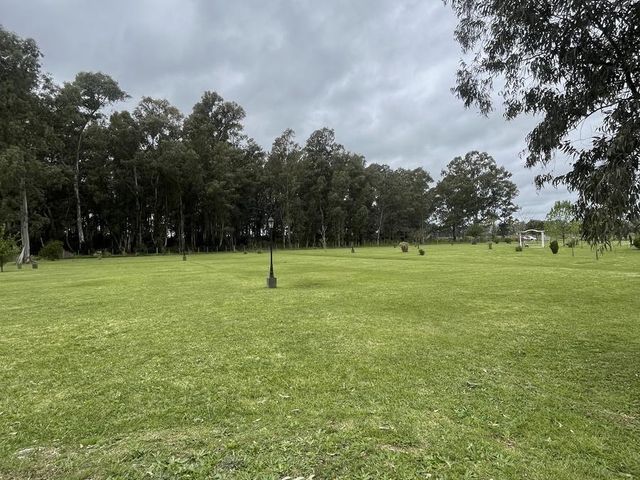 place photo 27