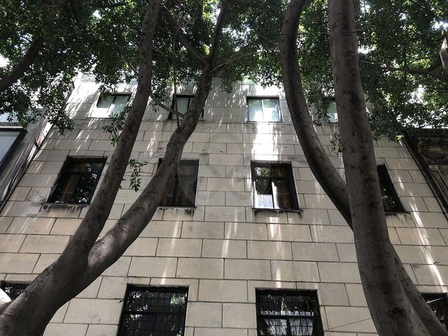 place photo 29