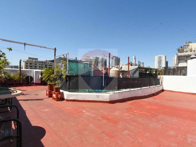 place photo 26