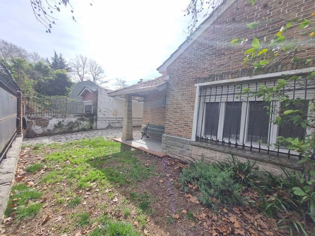 place photo 66