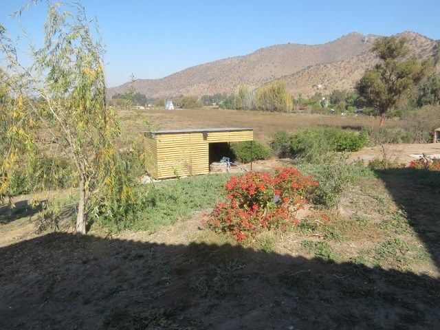 place photo 14