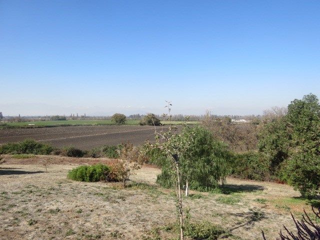place photo 56
