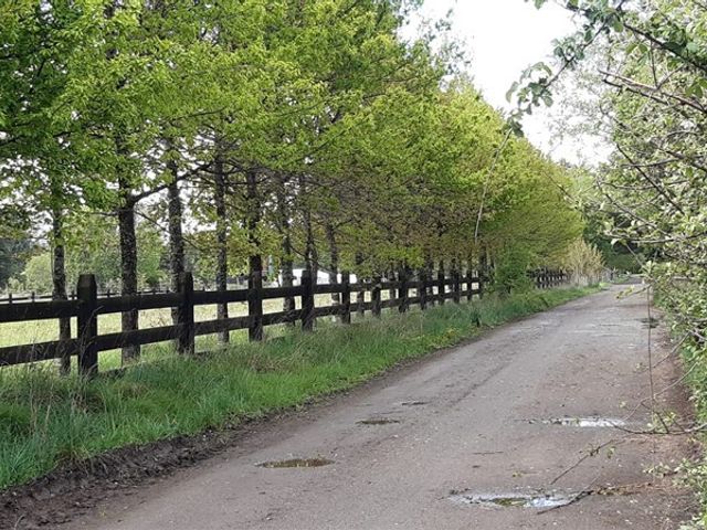 place photo 16