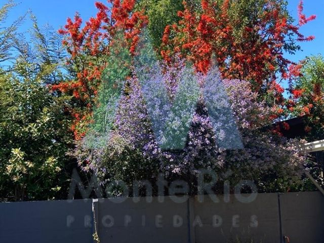place photo 45