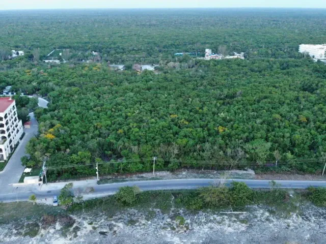 place photo 2
