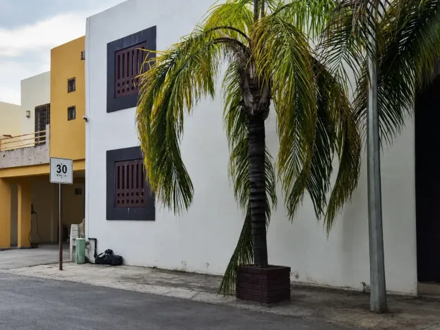 place photo 15