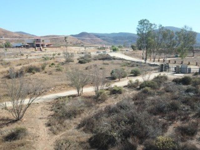 place photo 9