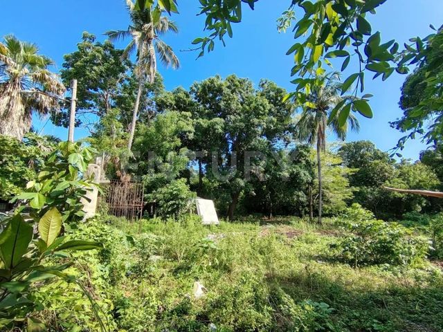 place photo 12