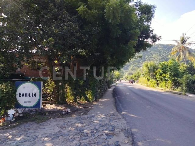place photo 16