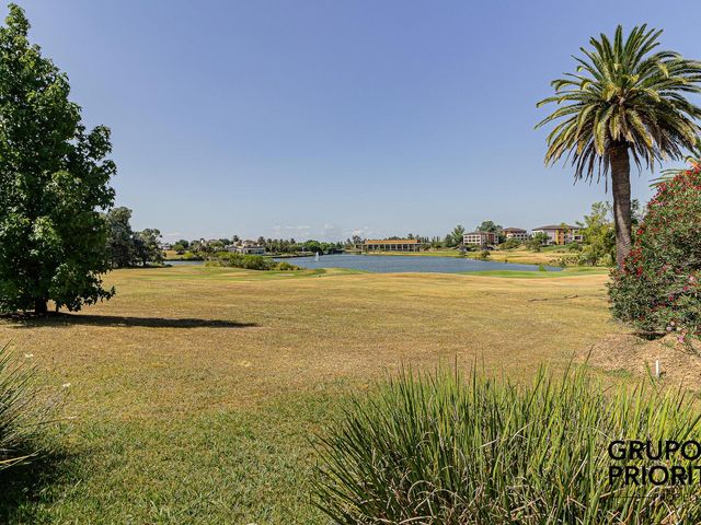 place photo 58