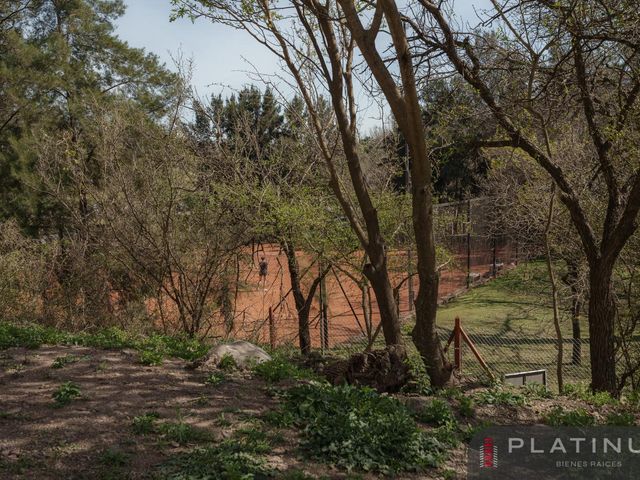 place photo 39