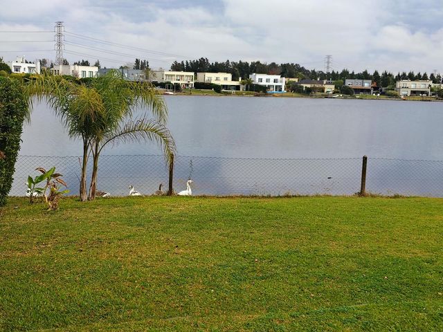 place photo 46