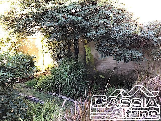 place photo 81