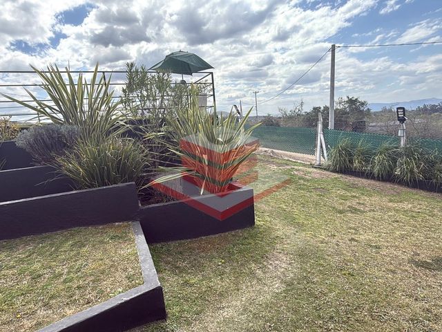 place photo 49