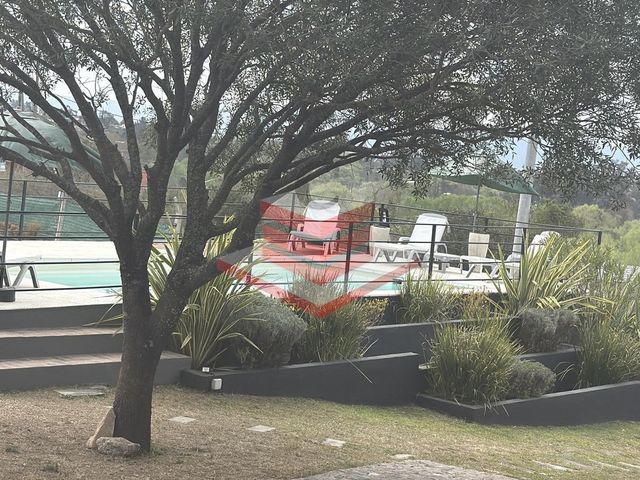 place photo 54