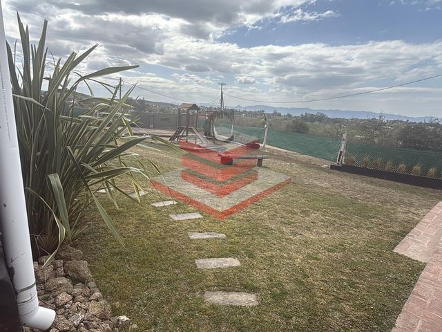 place photo 74