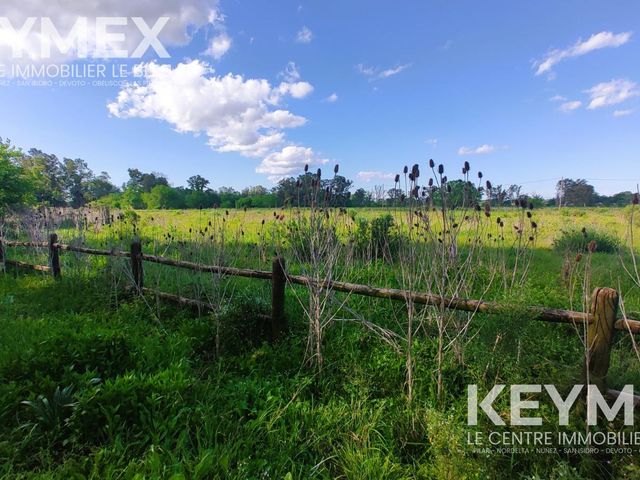 place photo 34