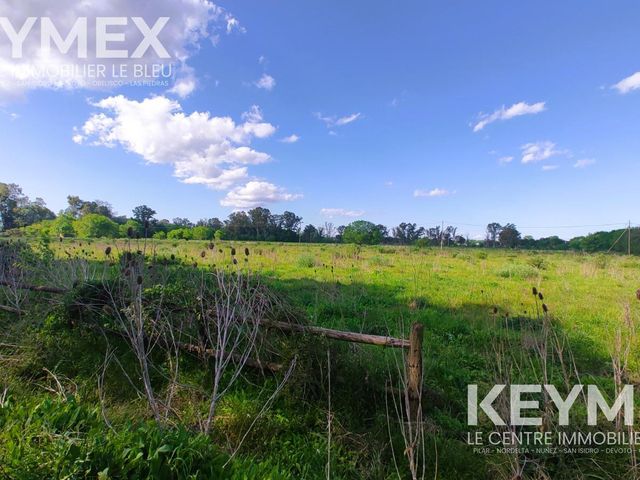 place photo 37